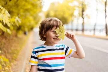 Portrait of happy cheerful child boy with a smile holds an autumn yellow maple leaf near the face in the park on the nature walk outdoors