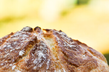 Homemade rustic natural fermentation bread. Detail.