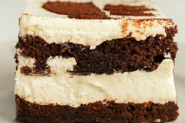 Piece of chocolate cake, side view, texture of the cut