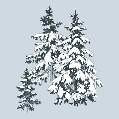 Hand drawn winter fir trees