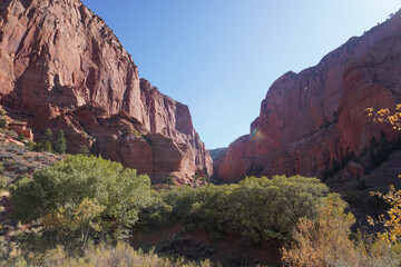 Very beautiful Zion National Park