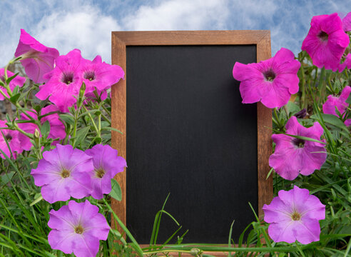 The photo shows a frame with a free space for an inscription in flowers with a blue sky.