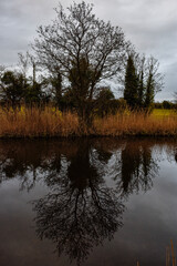 Beautiful Irish Canal