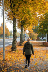 Fototapeta na wymiar Adult woman walking away alone on path in autumn park