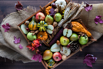 Top down view of an arrangement of various autumn fruits, gourds and decorations. Autumn concept.