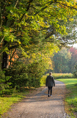 Adult woman walking away alone on path in autumn park