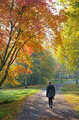 Fototapeta premium Adult woman walking away alone on path in autumn park