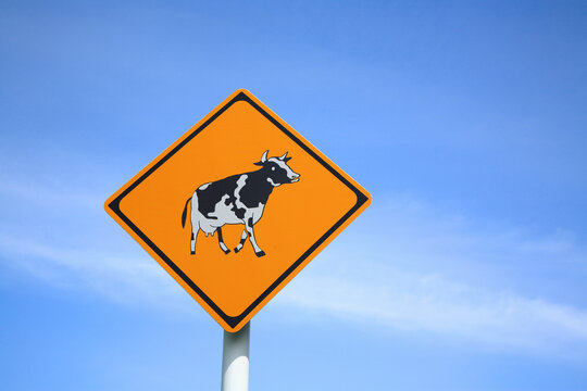 5 740 Best 道路標識images Stock Photos Vectors Adobe Stock