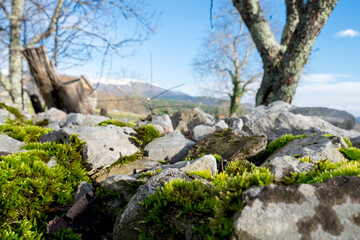Scenic path with aged mossy stone walls to the medieval mountain village Skocjan, Slovenia