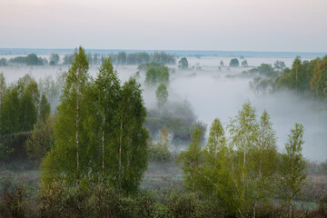 morning fog in the floodplain Belarus, the city VETKA, floodplain Sozh