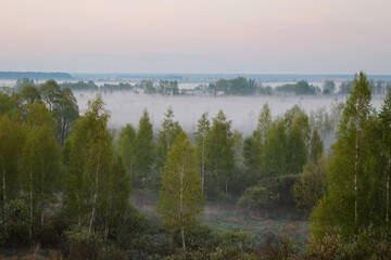 morning fog in the floodplain Belarus, the city VETKA, floodplain Sozh