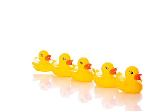 Five mini yellow rubber ducks isolated on white background. Column of ducklings lined up one after another, bath baby toy, funny kids game. Conformism, communism concept. Copy text space