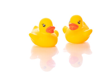 two yellow rubber ducklings, reflected in glass surface isolated on white background. Minimal style. Couple of ducks