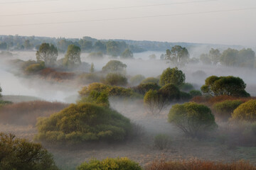 morning fog in the floodplain Belarus, the city VETKA, floodplain Sozh