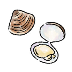 ハマグリ　水彩　手描き　素材
