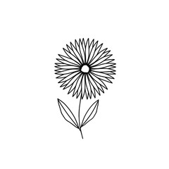 Linework flower black and withe