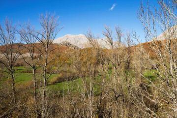 Montaña de roca caliza tras un  bosque otoñal