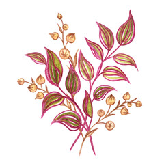Bouquet of decorative twigs, watercolor drawing isolated on white background, decorative print for various designs: postcards, prints, home furnishings decor.