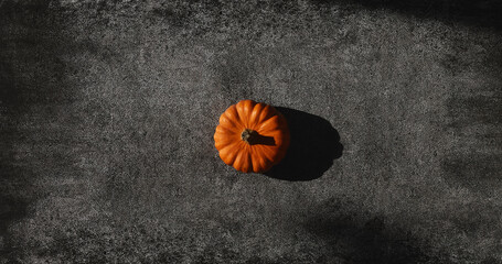 Flatlay with orange decorative pumpkin on stone texture with hard light