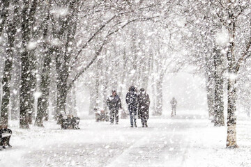 The first snow falls on a Park bench. Snow storm, snowstorm in the city. The first snow on a dark path and footprints on it. Heavy snowfall in the Park, large snowflakes fall on the sidewalk.