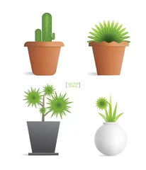 Foto op Plexiglas Cactus in pot Mooie decoratie planten in bloempot. Kleine boom. Natuurlijk objectidee voor interieurontwerp en decoratie. Vector.