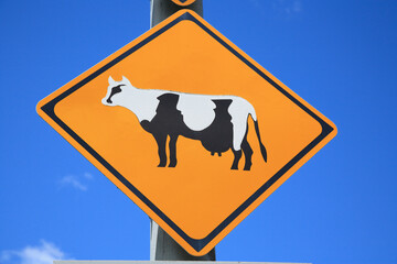 牛の道路標識