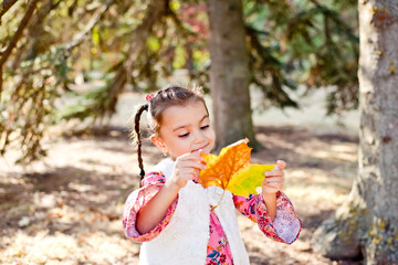 A little girl walks in the autumn forest with a beautiful yellow fallen leaf. A cheerful girl smiles and holds a large bright leaf from a tree.