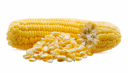 Corn isolated on white background