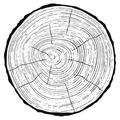 Log cut, vector illustration. Tree rings pattern, shades of gray.	