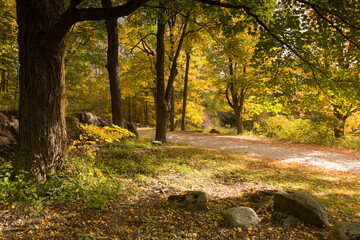 Autumn and fall landscapes from South Eastern Ontario Canada featuring forested hills and lakes with an ethereal atmosphere.  