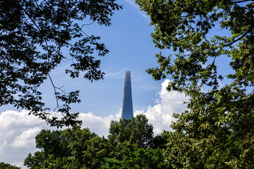 The beautiful and curious landscape of forest and clouds background blue sky at the park.