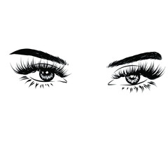Hand-drawn woman's luxurious eye with perfectly shaped eyebrows and full lashes. Idea for business visit card, typography vector.Perfect salon look.	