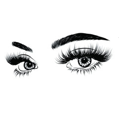 Fototapeta premium Hand-drawn woman's luxurious eye with perfectly shaped eyebrows and full lashes. Idea for business visit card, typography vector.Perfect salon look. 