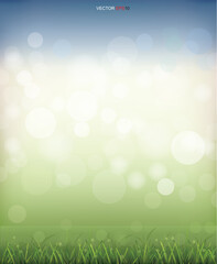 Naklejka premium Green grass field with light blurred bokeh background. Vector.