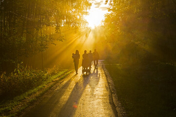 Sunbeams through the fog.