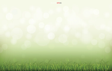 Obraz premium Green grass field with light blurred bokeh background. Vector.