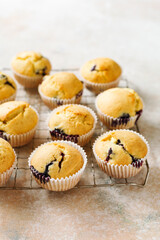 Homemade muffins with blueberries.