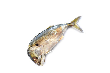 Fototapeta premium fish on a white background