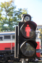 Barring pedestrian traffic light signal at a crossing