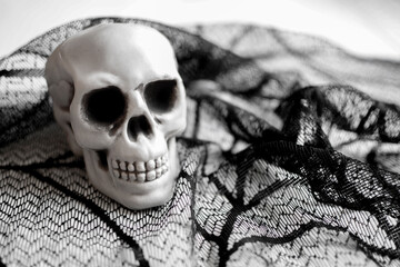 Skull on a lace web, with spider web texture.