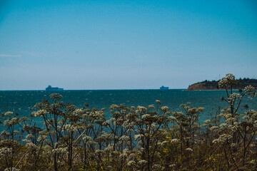 view from the sea