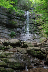 Small moss covered waterfall in Tennessee during mid summer.