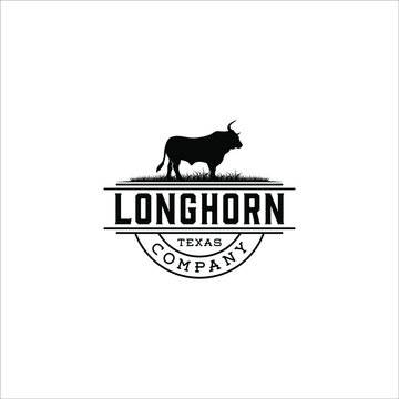 Longhorn texas cow standing on grass 