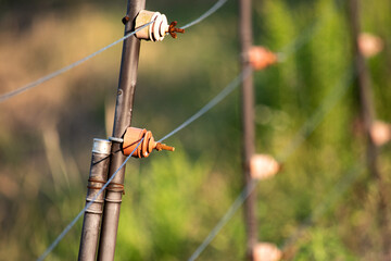 害獣除けの電柵
