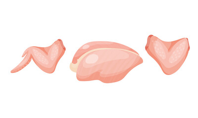 Chicken Meat Part with Fillet and Wing as Farm Product Vector Set