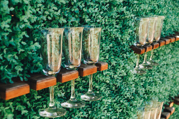 Empty champagne glasses are mounted on a stand on a vertical green lawn wall.
