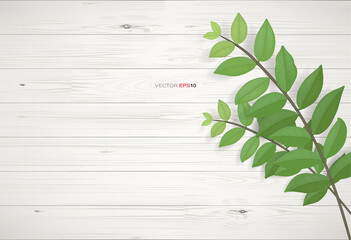 Wood texture background with green leaves.  Vector illustration.