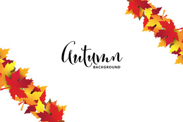Colorful Autumn background with white background. Isolated orange and yellow leafs