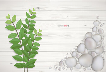 Background of white wood with green leaves and gravel stone. Natural abstract background for template design. Vector.