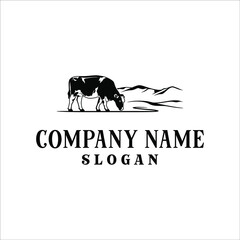 Dairy cows eat grass in the hills with a classic design